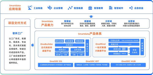 中國軟件網(wǎng)對話數(shù)睿數(shù)據(jù)CEO 深挖數(shù)據(jù)驅(qū)動的企業(yè)級無代碼計(jì)算機(jī)軟硬件