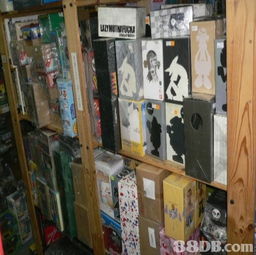Toy Zone 16 一站式玩具交易平臺(tái)，寄賣服務(wù)引領(lǐng)收藏新潮流